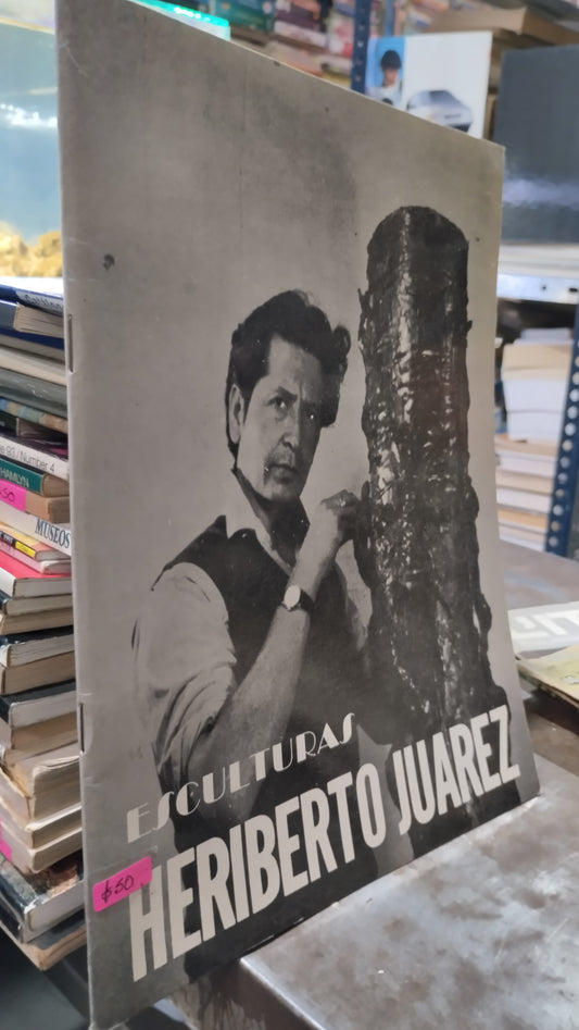 ESCULTURAS HERIBERTO JUAREZ LIBRO USADO ARTE ALDAMA