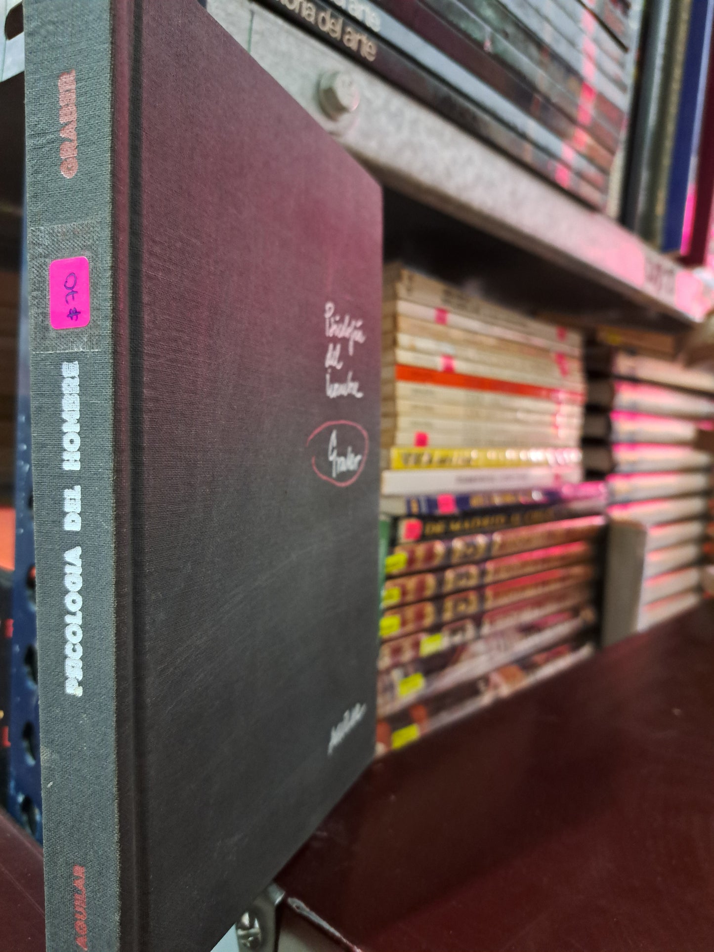 PSICOLOGÍA DEL HOMBRE GUSTAV HANS GRABER USADO PSICOLOGÍA LITERARIO 305