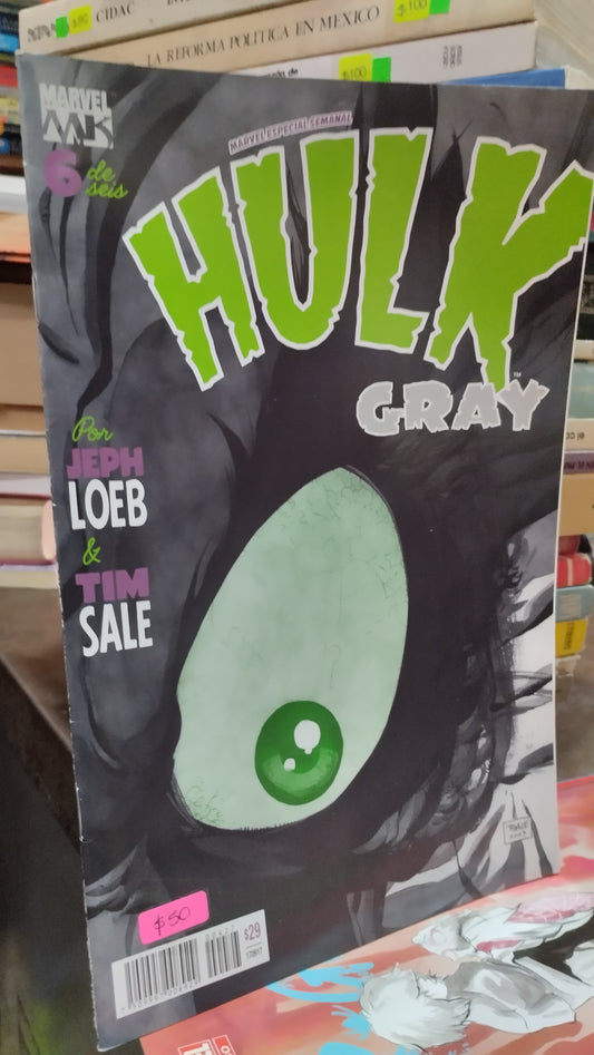HULK GRAY LIBRO USADO NOVELAS ALDAMA