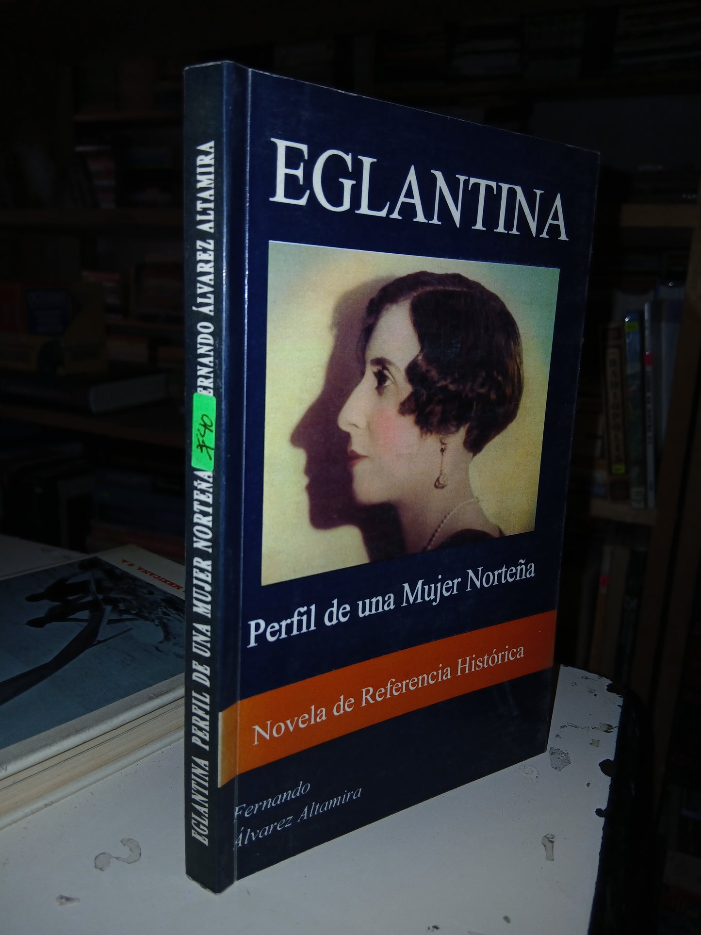 EGLANTINA: PERFIL DE UNA MUJER NORTEÑA POR FERNANDO ÁLVAREZ ALTAMIRA USADO NOVELA LITERARIO 207