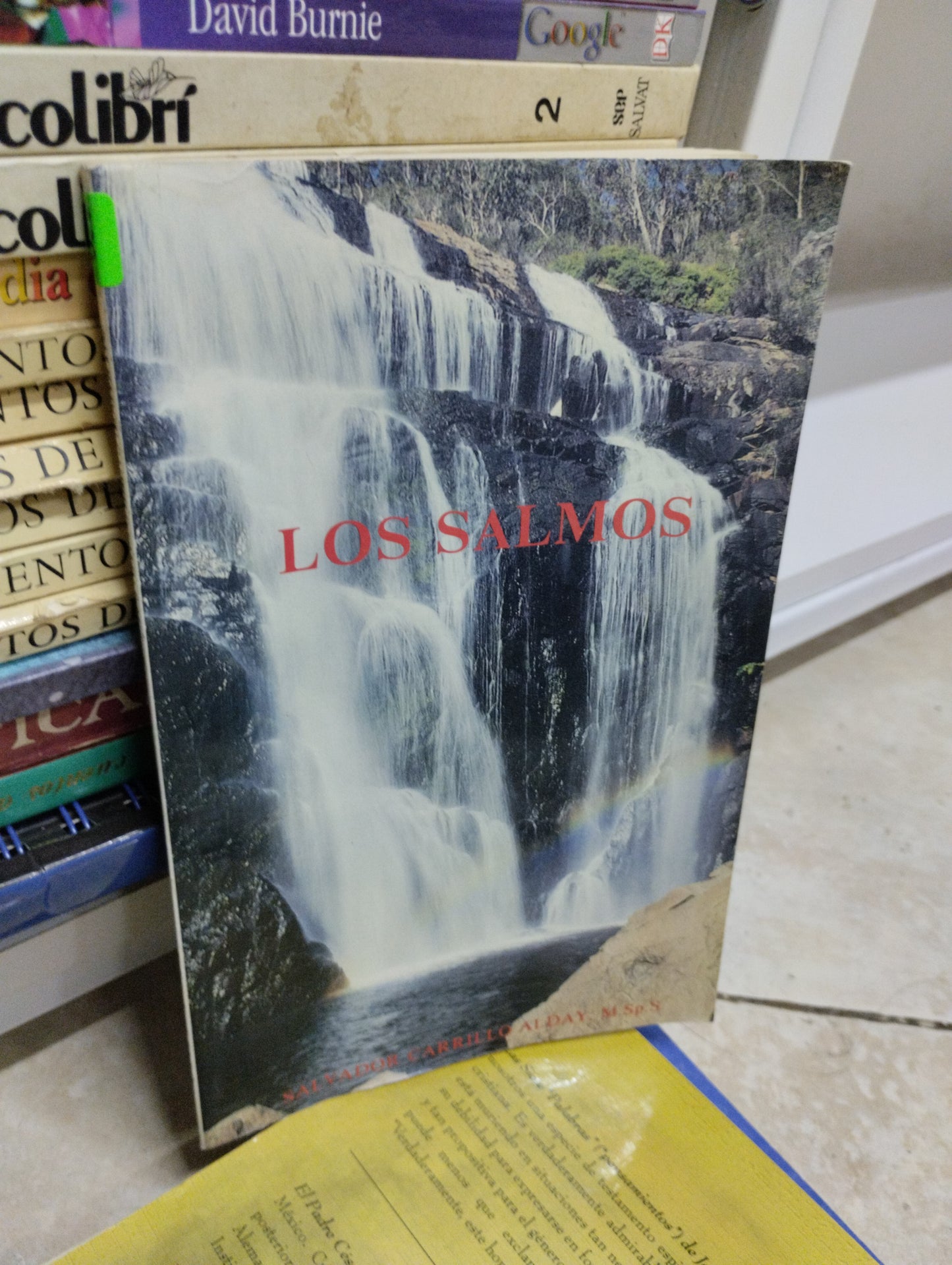 LOS SALMOS, SALVADOR CARRILLO ALDAY, USADO, RELIGION,JUAREZ 515