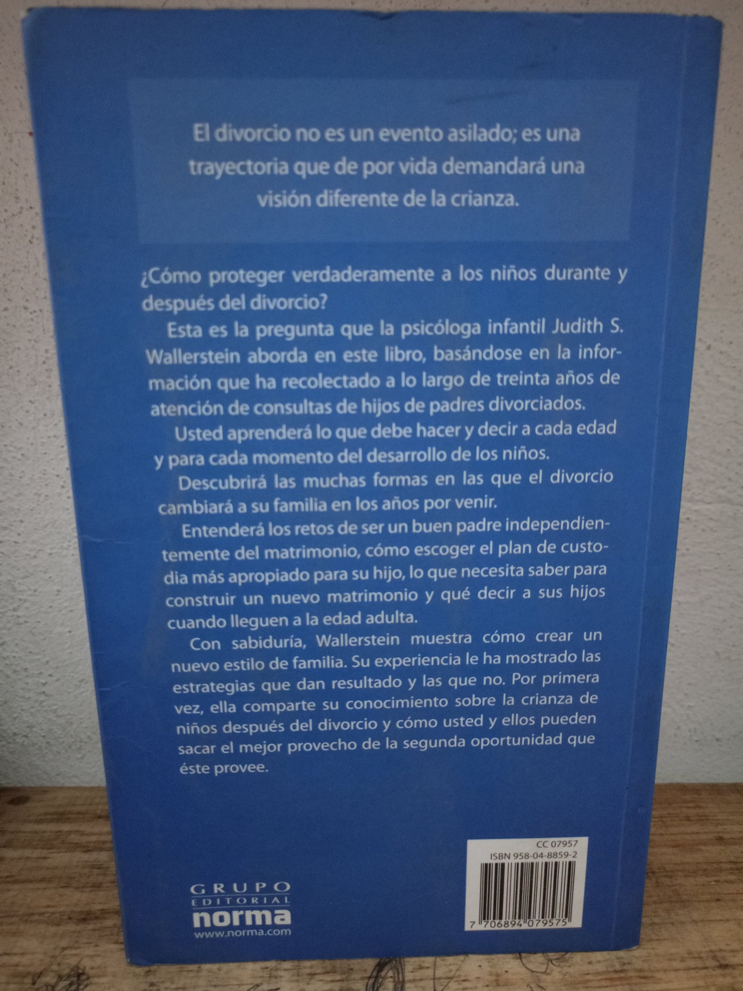Y LOS NIÑOS... ¿QUÉ? POR JUDITH S. WALLERSTEIN Y SANDRA BLAKESLEE USADO PSICOLOGÍA LITERARIO 305