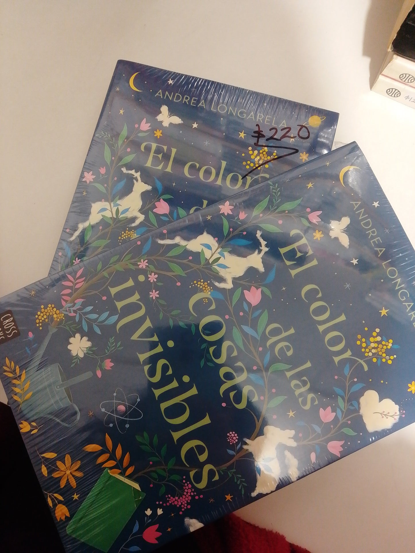 EL COLOR DE LAS COSAS INVISIBLES POR ANDREA LONGARELA NUEVO JUAREZ