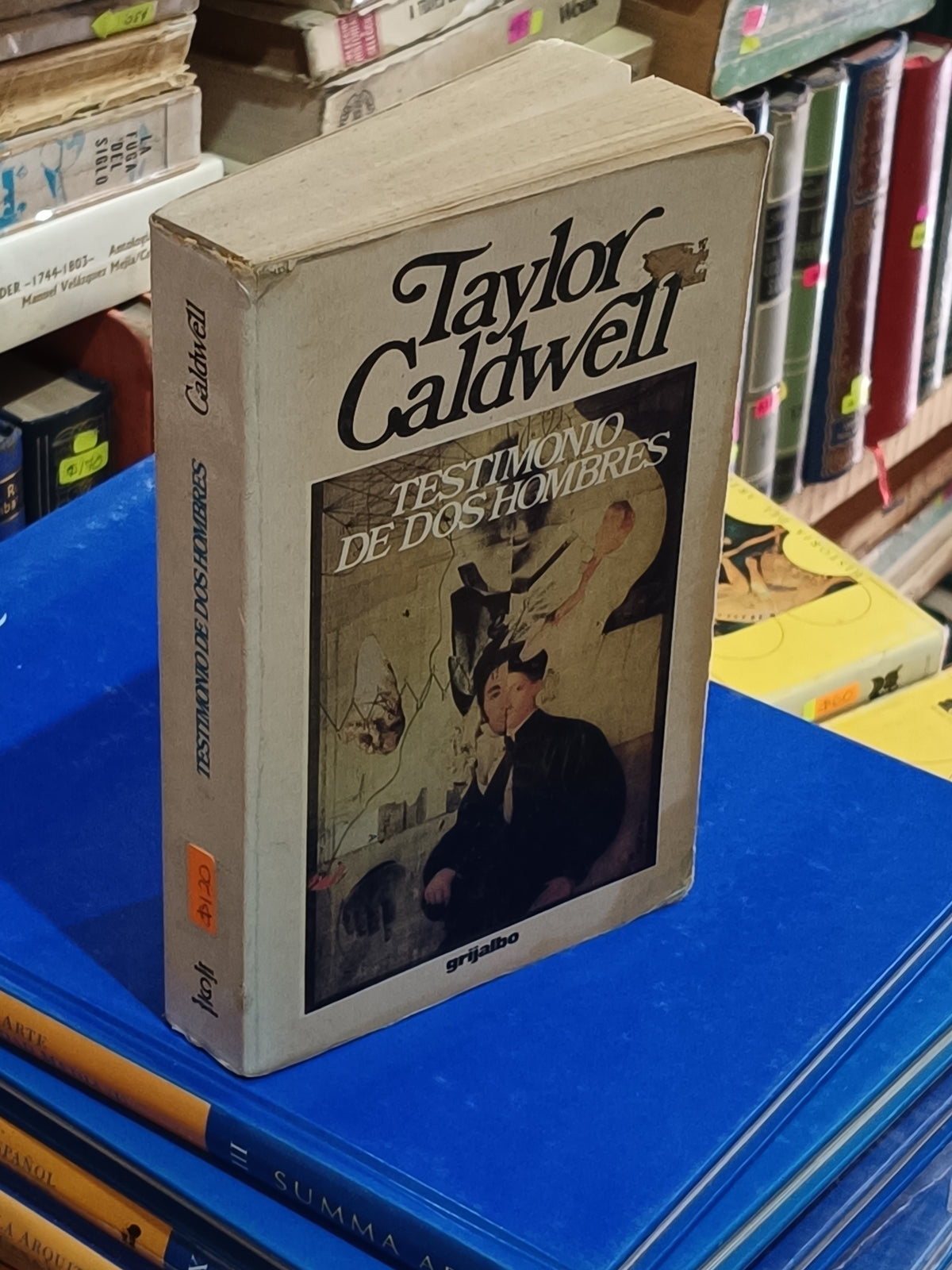 TESTIMONIO DE DOS HOMBRES TAYLOR GALDWELL USADO NOVELA LITERARIO 305