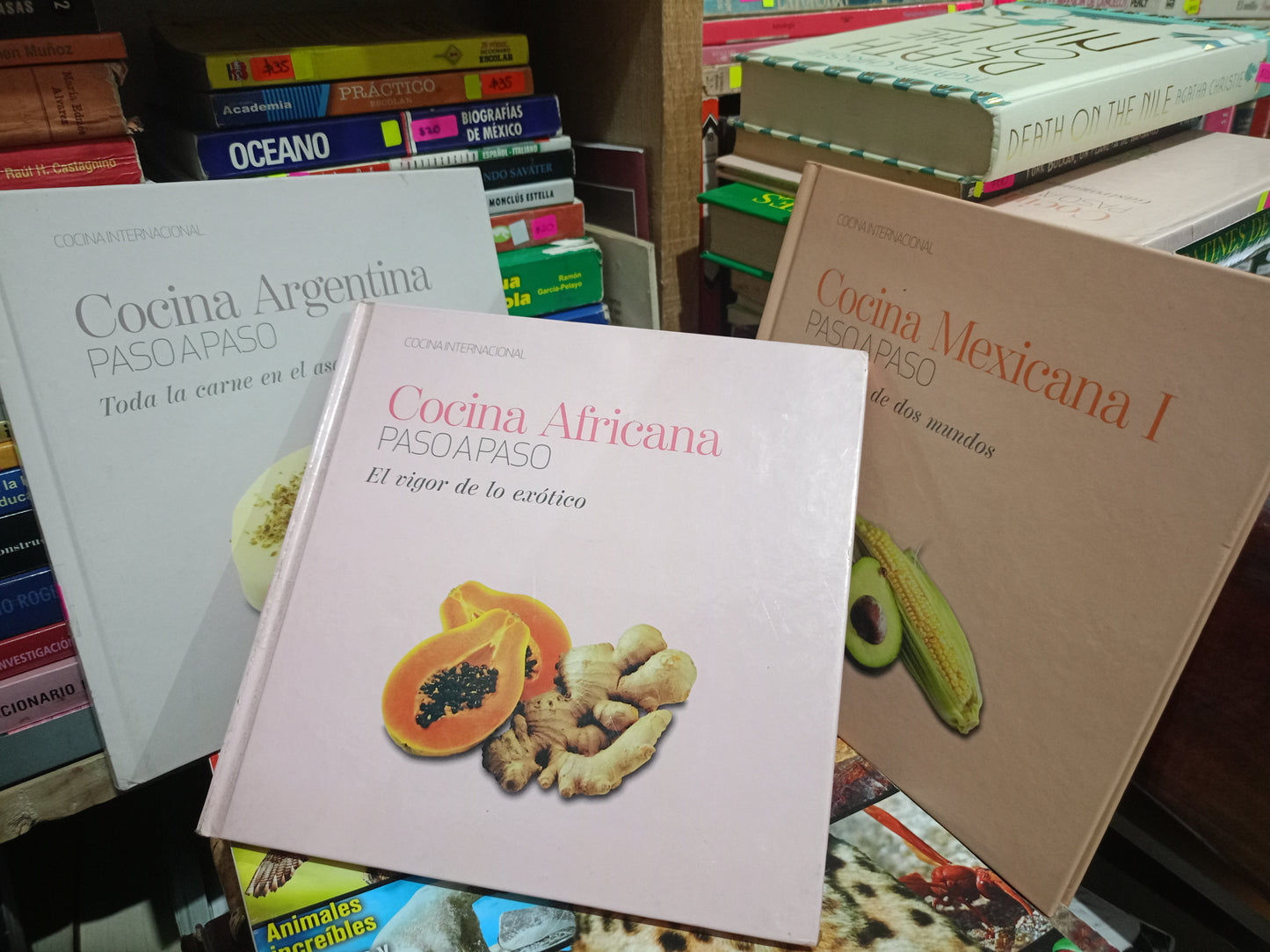 COCINA INTERNACIONAL USADO COCINA LITERARIO 305