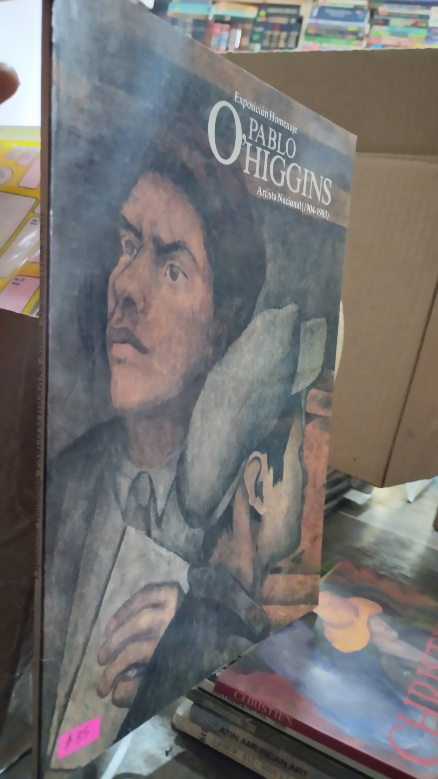 EXPOSICION HOMENAJE PABLO HIGGINS ARTISTA NACIONAL 1904 1983 LIBRO USADO ARTE ALDAMA