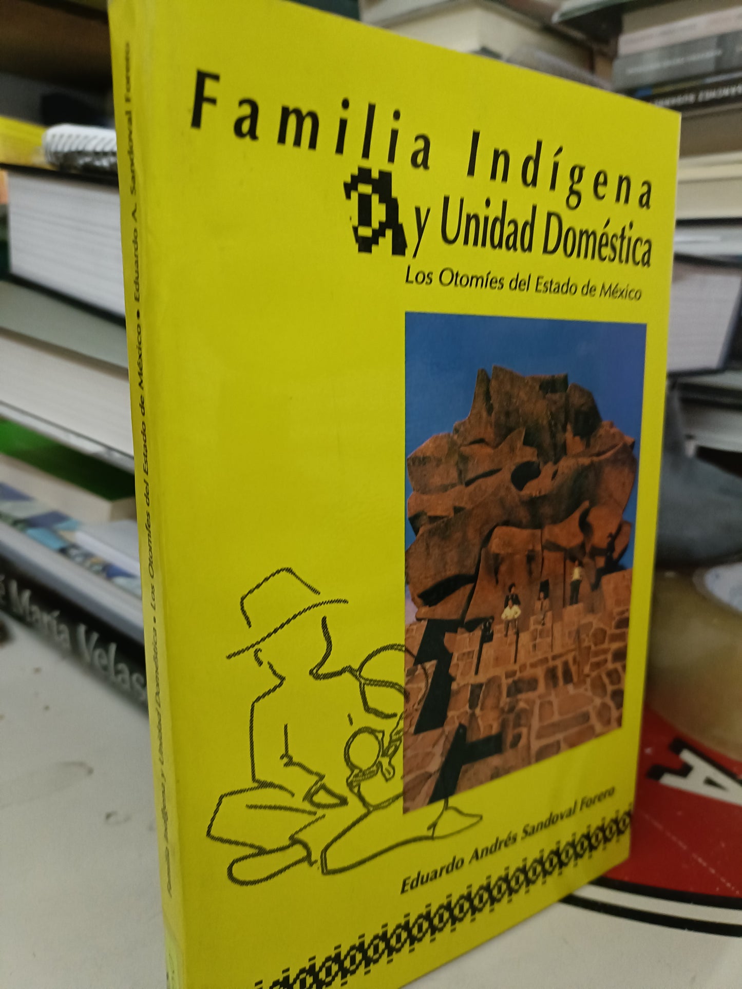 FAMILIA INDIGENA Y UNIDAD DOMÉSTICA LOS OTOMIES DEL ESTADO DE MÉXICO POR EDUARDO ANDRES SANDOVAL FORERO  USADO HISTORIA LITERARIO 207