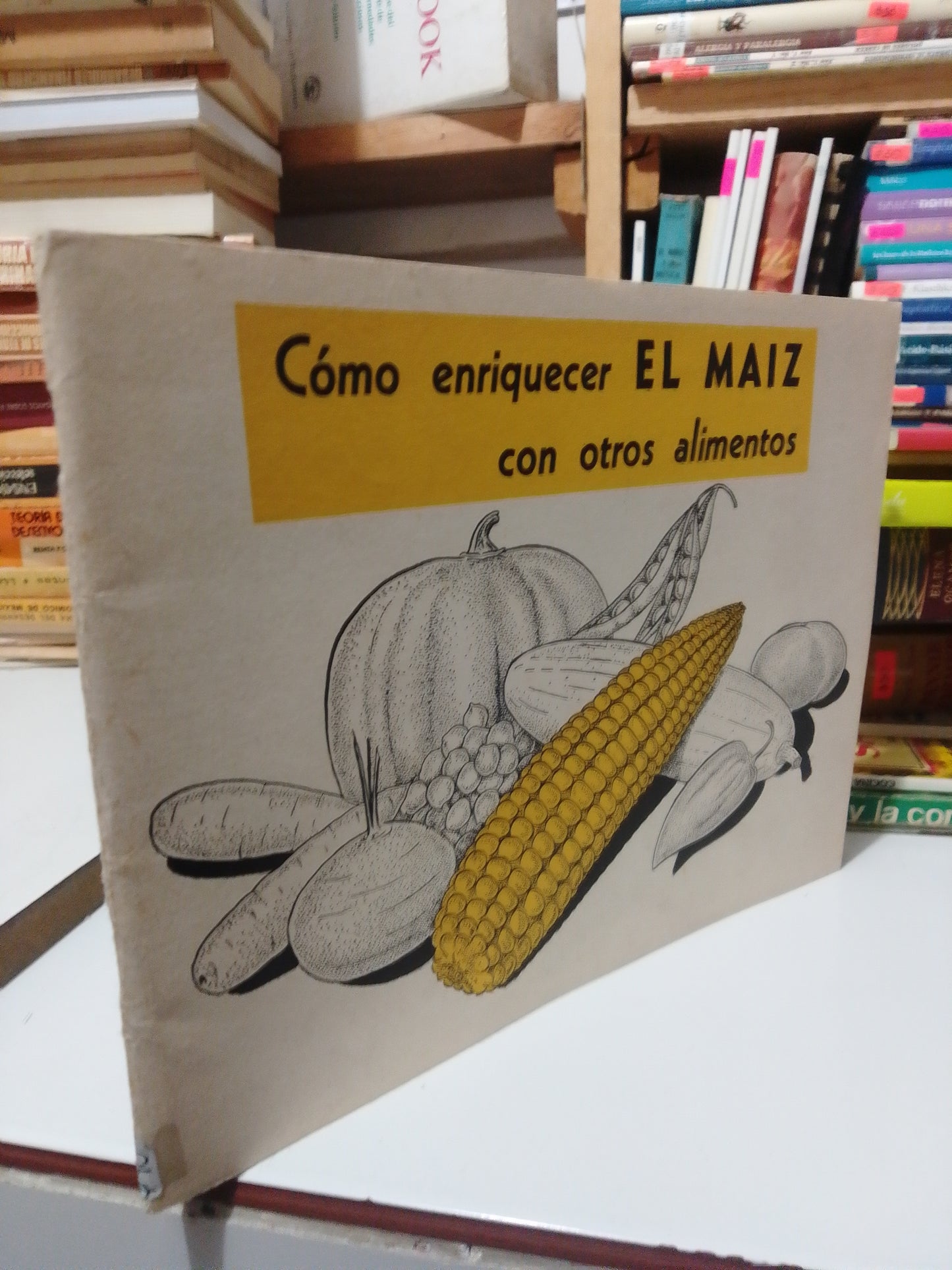 COMO ENRIQUECER EL MAIZ CON OTROS ALIMENTOS USADO COCINA JUAREZ
