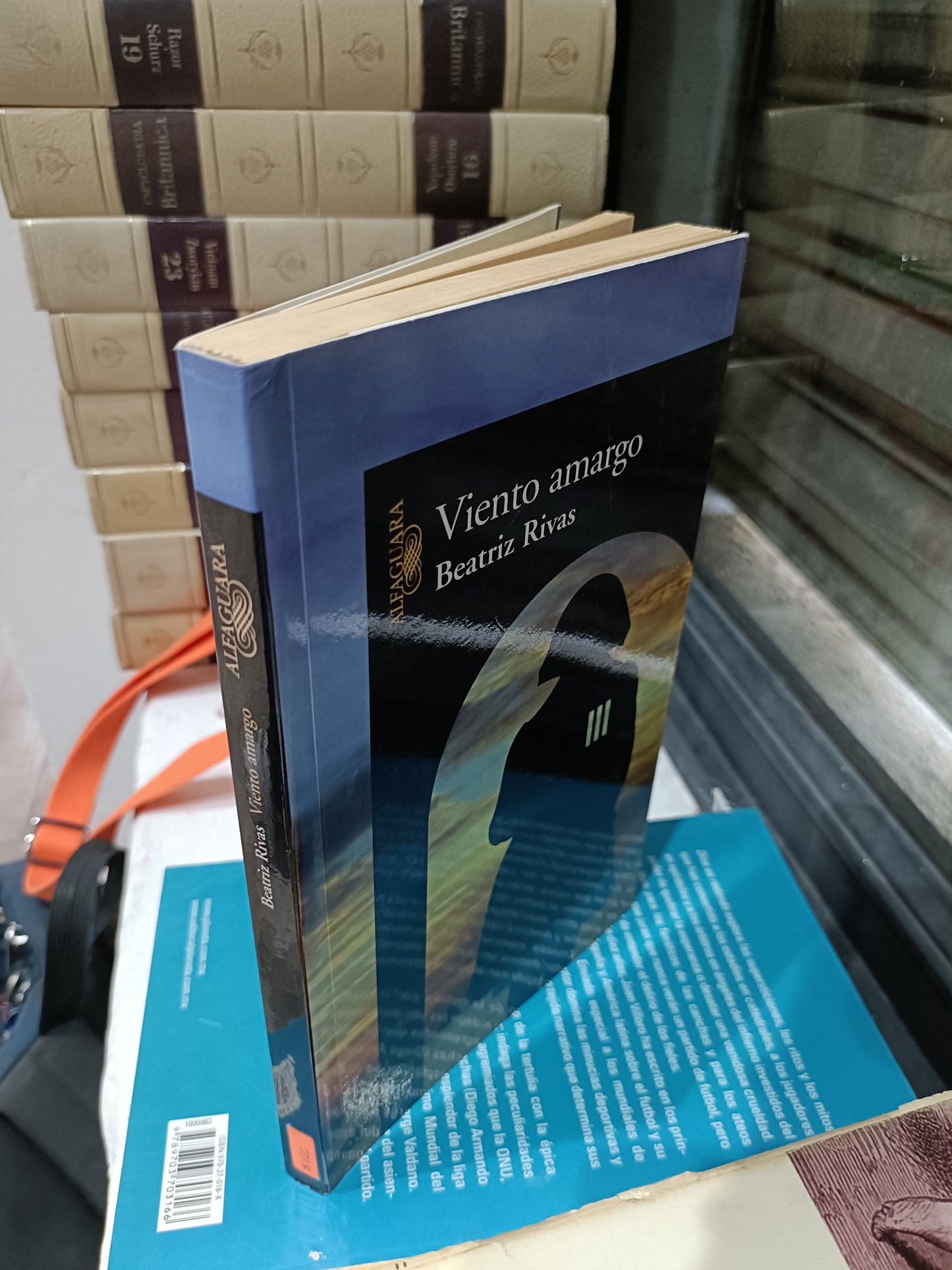 VIENTO AMARGO POR BEATRIZ RIVAS USADOS NOVELAS JUAREZ 515