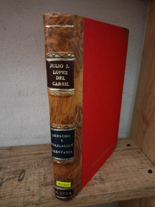 DERECHO Y OBLIGACIÓN ALIMENTARIA POR JULIO J. LÓPEZ DEL CARRIL USADO DERECHO LITERARIO 305