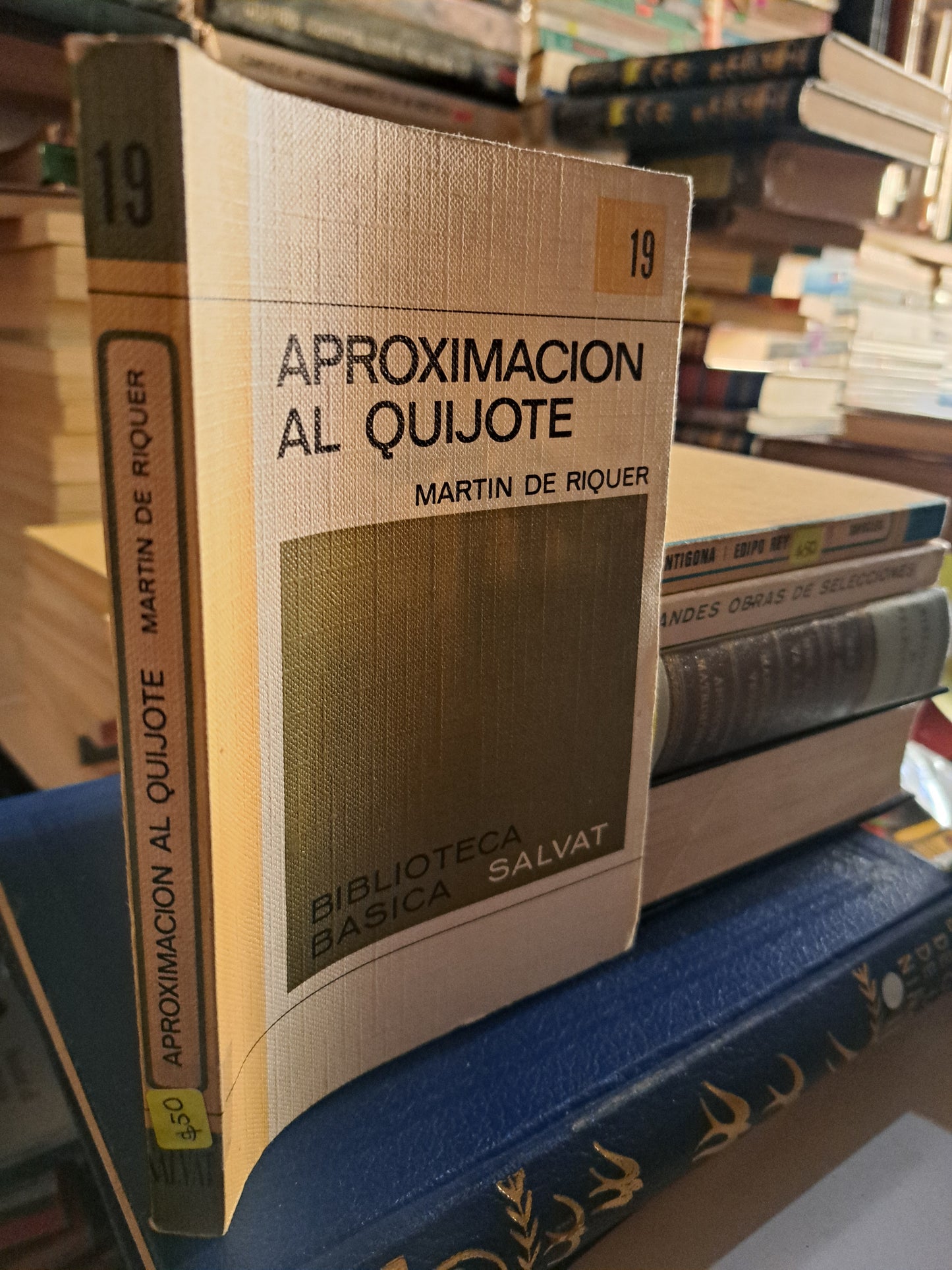 APROXIMACION AL QUIJOTE MARTIN DE RIQUER USADO NOVELA LITERARIO 207