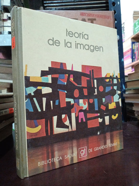 TEORIA DE LA IMAGEN USADO CIENCIA LITERARIO 305