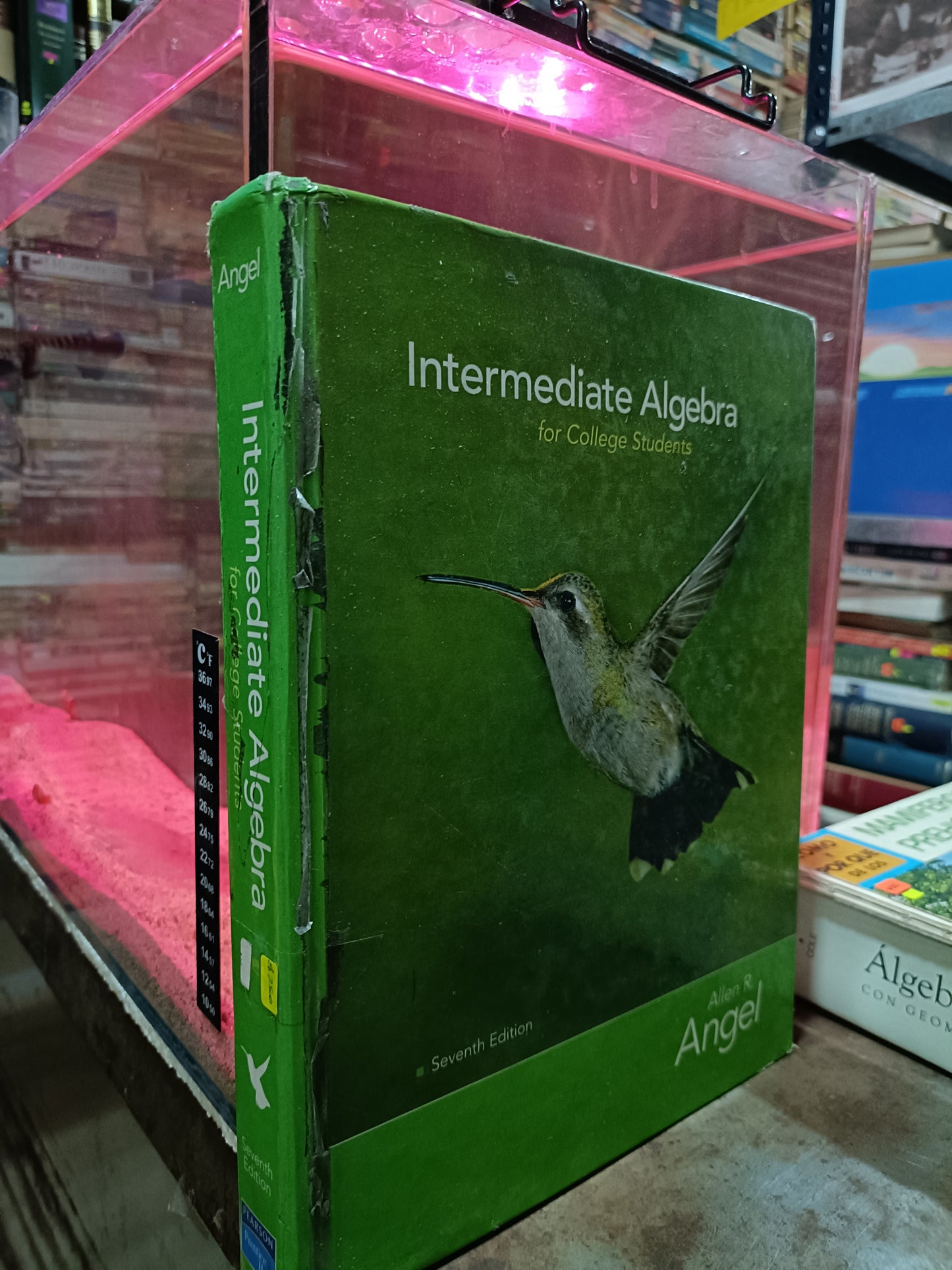 INTERMEDIANTE ALGEBRA POR ALLEN R ANGEL USADOS MATEMATICAS ALDAMA