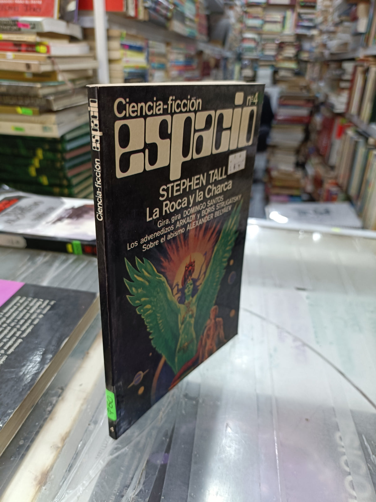 LA ROCA Y LA CHARCA  POR STEPHEN TALL USADO NOVELA LITERARIO 207