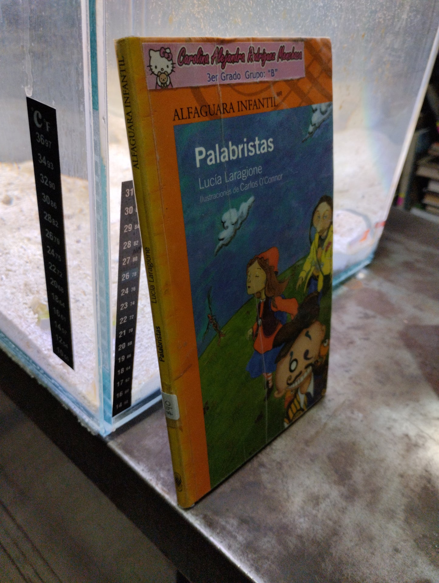 PALABRISTAS POR LUCIA LARAGIONE USADO INFANTIL ALDAMA