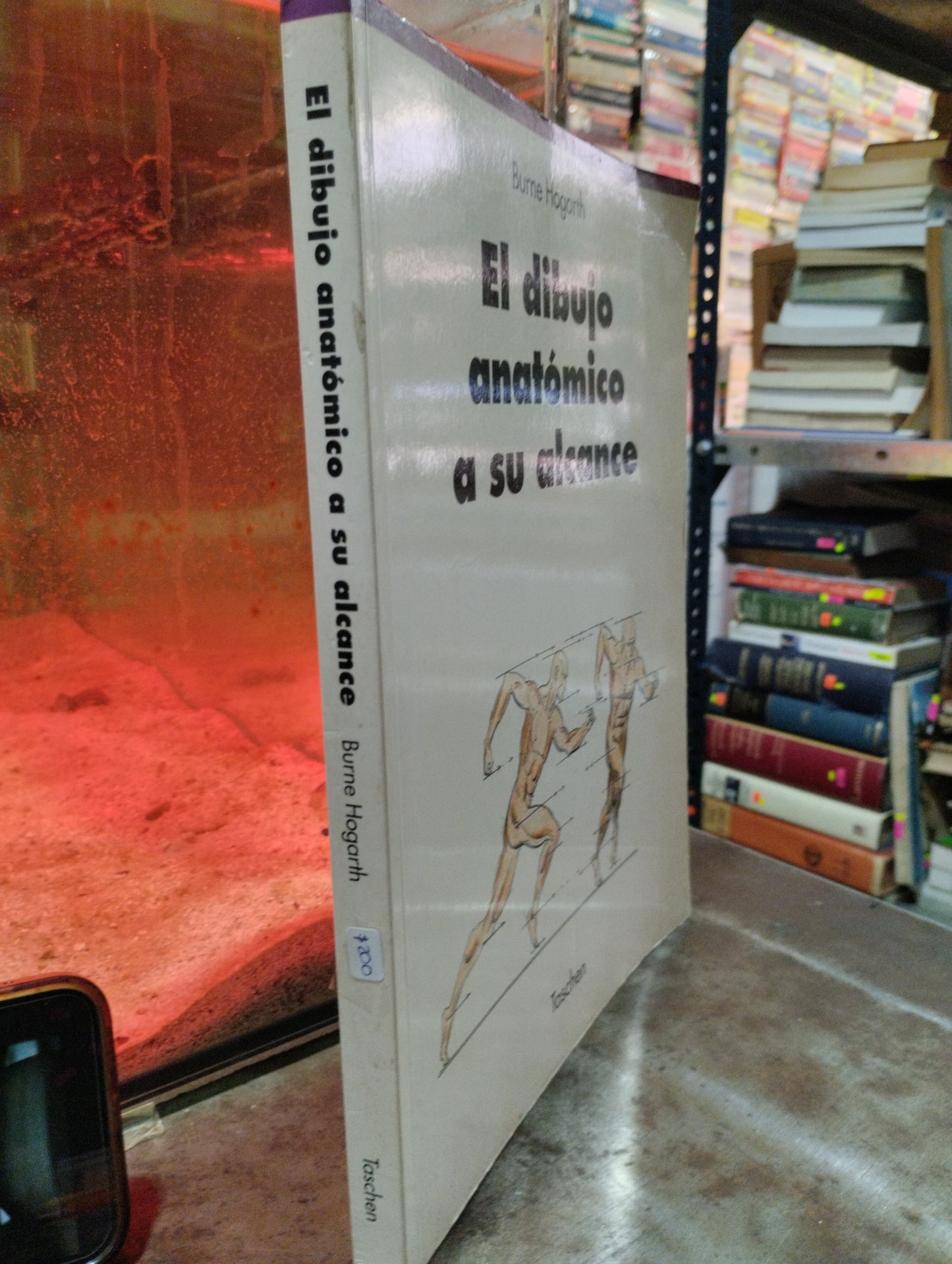 EL DIBUJO ANATOMICO A SU ALCANCE POR BURNE HOGARTH USADO ARTE ALDAMA