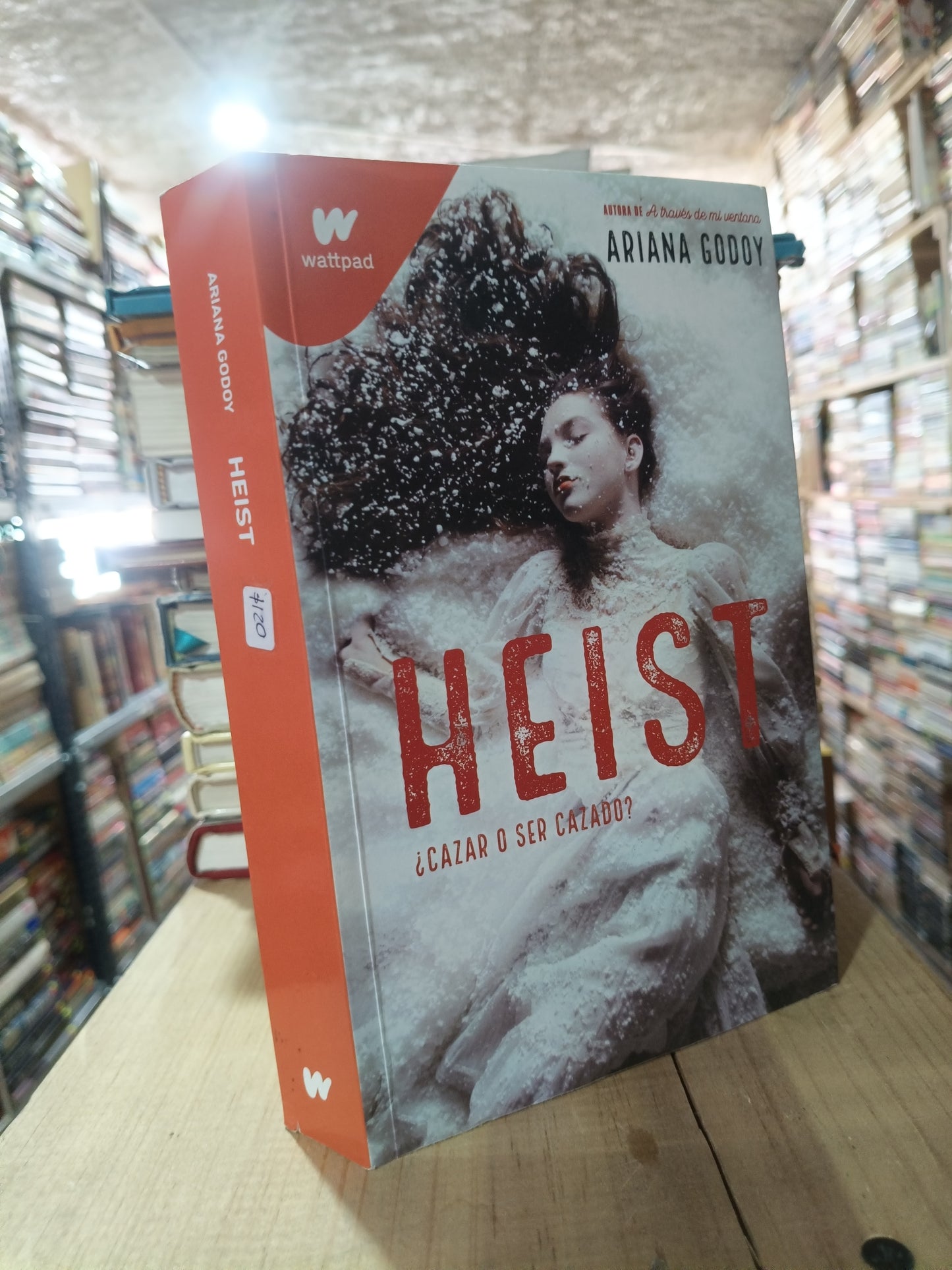 HEIST ARIANA GODOY USADO NOVELA ALDAMA