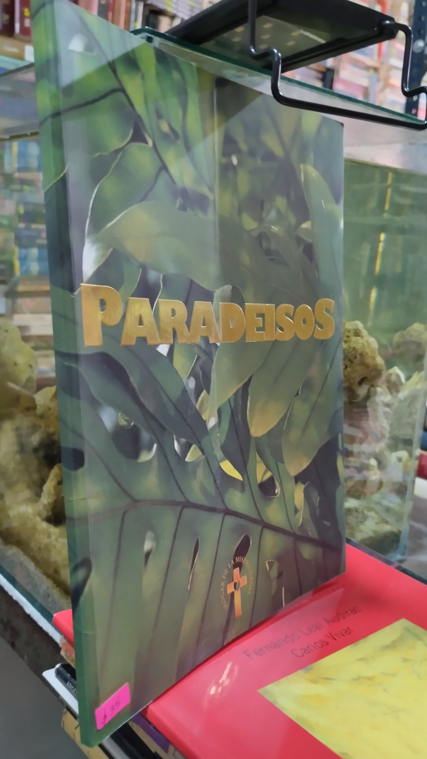 PARADEISOS LIBRO USADO ARTE ALDAMA