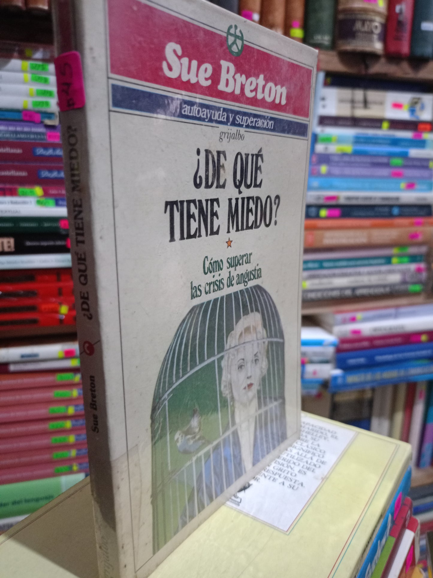 DE QUE TIENE MIEDO POR SUE BRETON USADO NOVELA LITERARIO 305