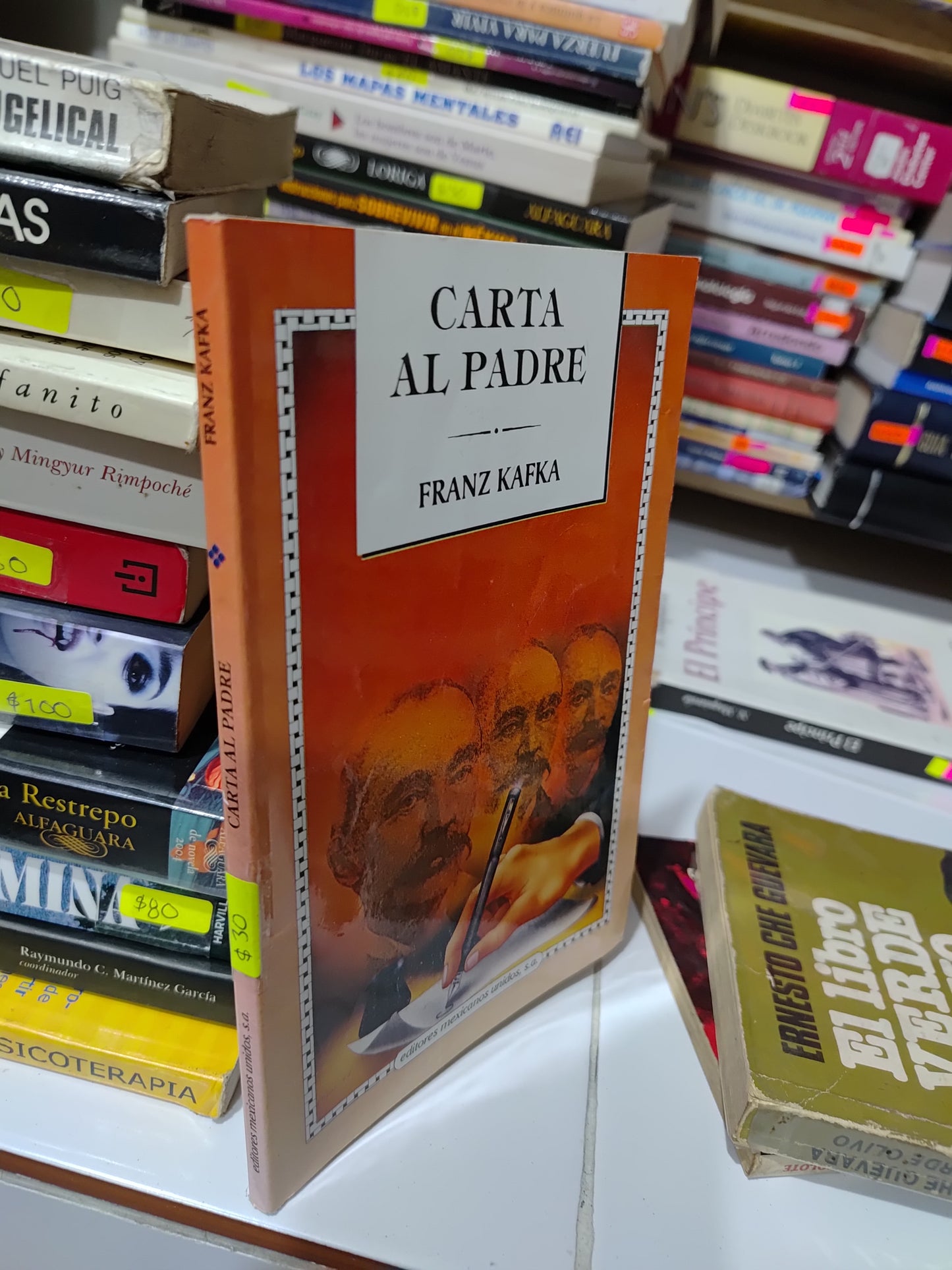 CARTA AL PADRE POR FRANZ KAFKA USADO NOVELAS JUAREZ