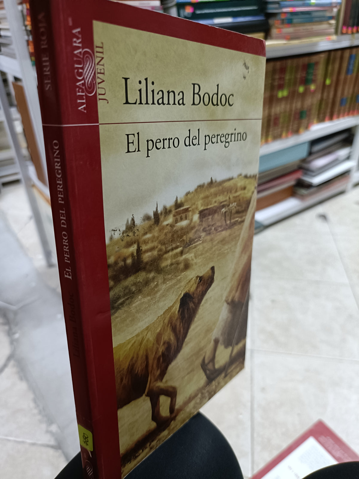 EL PERRO DEL PEREGRINO POR LILIANA BODOC USADO NOVELA JUAREZ 515