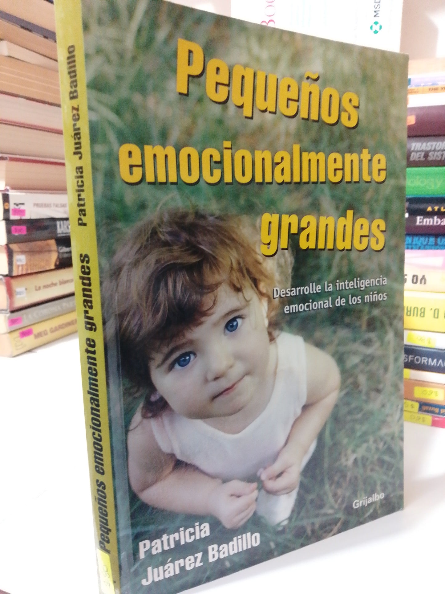 PEQUEÑOS EMOCIONALMENTE GRANDES POR PATRICIA JUAREZ BADILLO USADO SUPERACION PERSONAL JUAREZ