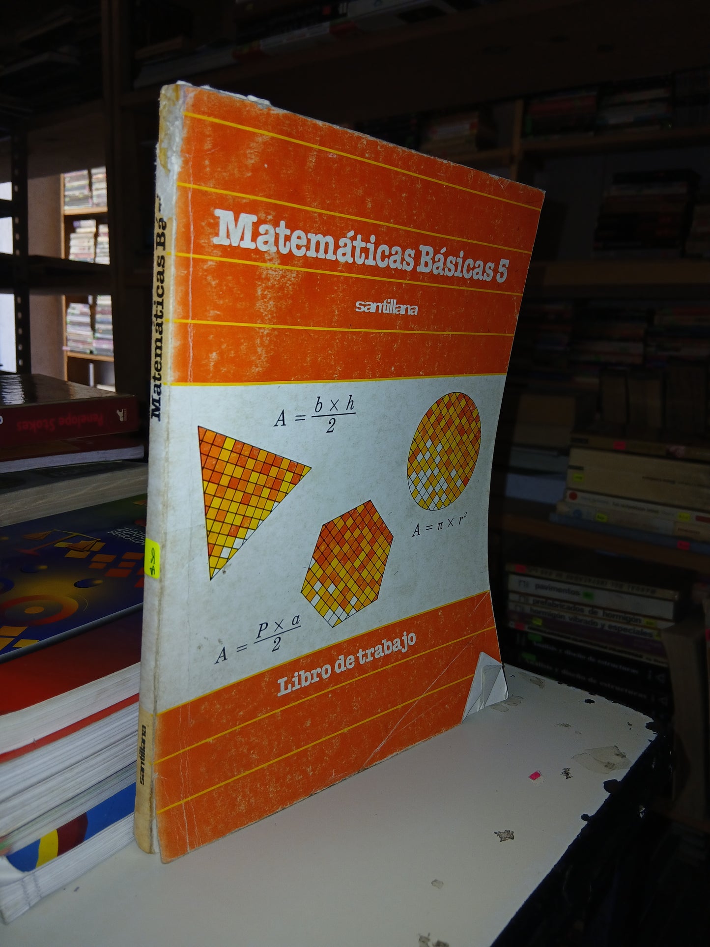 MATEMÁTICAS BÁSICAS 5. LIBRO DE TRABAJO POR VÍCTOR MANUEL GARCÍA MONTES USADO MATEMÁTICAS LITERARIO 207