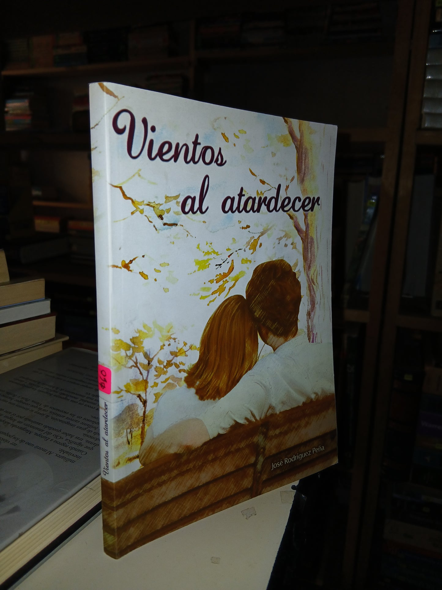VIENTOS AL ATARDECER POR JOSÉ RODRÍGUEZ PEÑA USADO NOVELA LITERARIO 207
