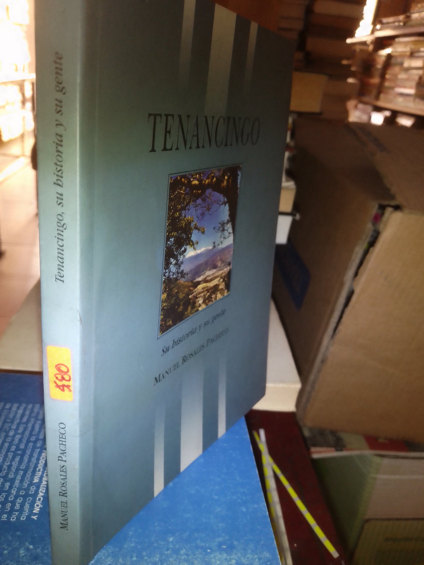 TENANCINGO POR MANUEL ROSALES PACHECO USADO HISTORIA LITERARIO 207