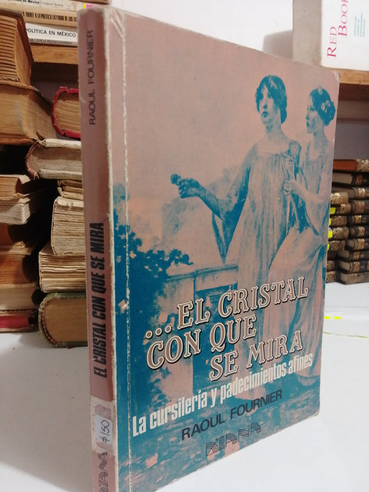 EL CRISTAL CON QUE SE MIRA POR RAOUL FOURNIER USADO NOVELA JUAREZ