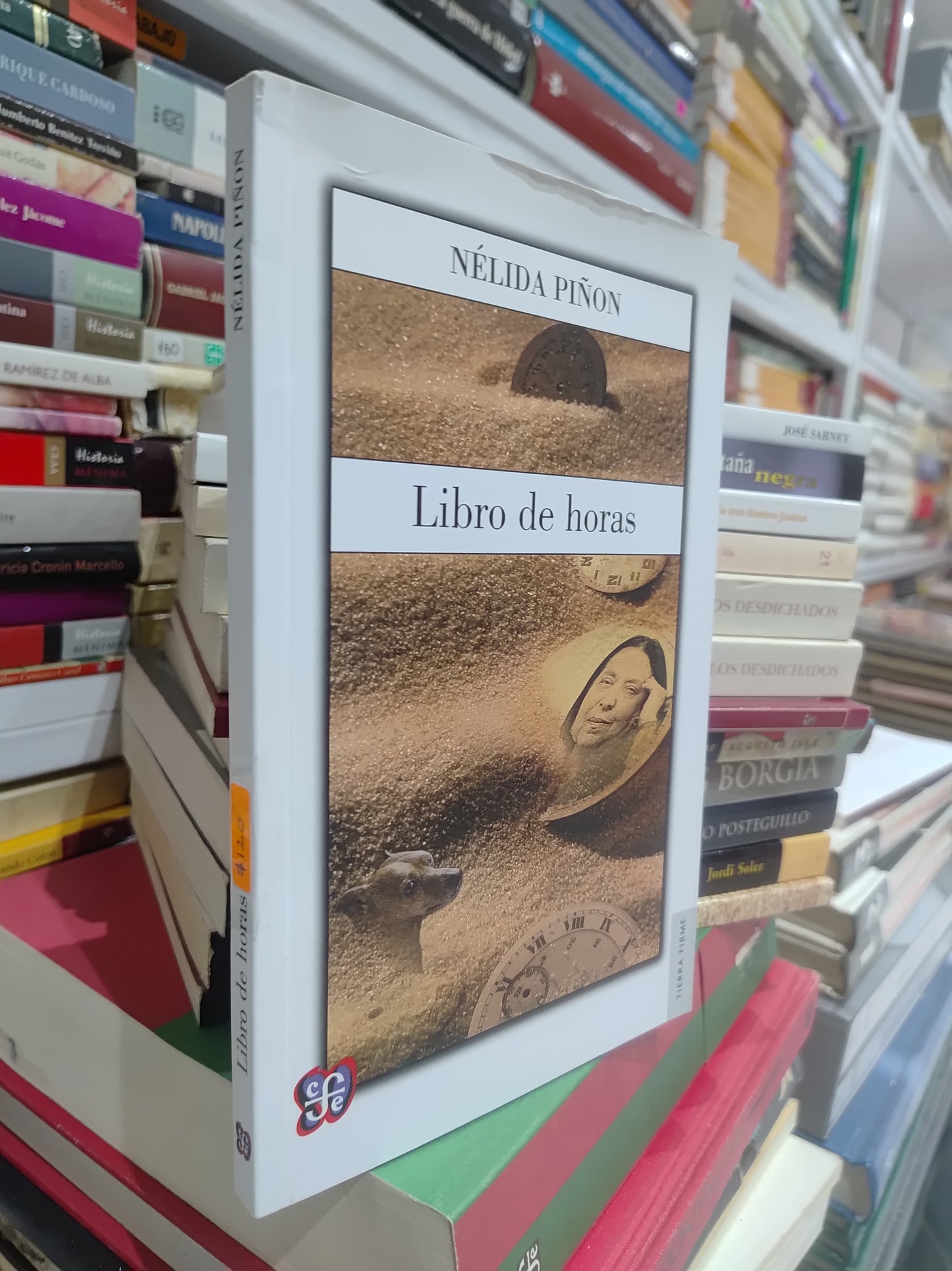 LIBRO DE HORAS POR NELIDA PIÑON USADO NOVELAS JUAREZ 515