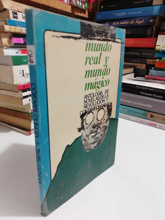 MUNDO REAL Y MUNDO MAGICO USADO NOVELA JUAREZ