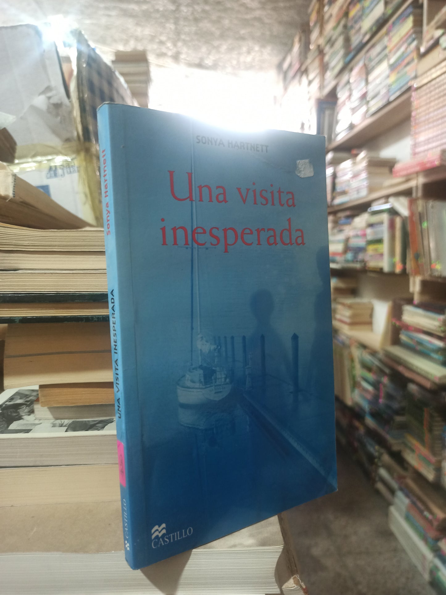 UNA VISITA INESPERADA POR SONYA HARTNETT USADO NOVELAS ALDAMA