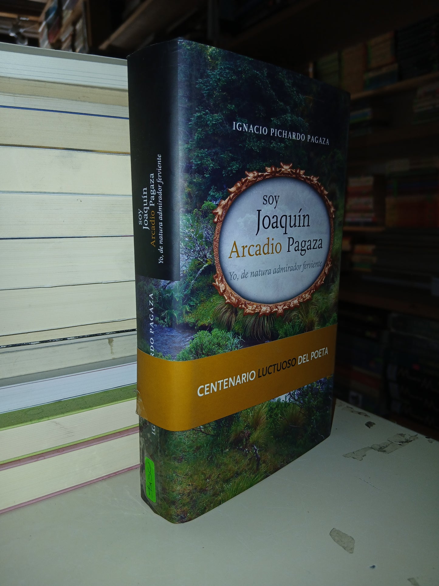SOY JOAQUÍN ARCADIO PAGAZA: YO, DE NATURA ADMIRADOR FERVIENTE POR IGNACIO PICHARDO PAGAZA USADO NOVELA LITERARIO 207