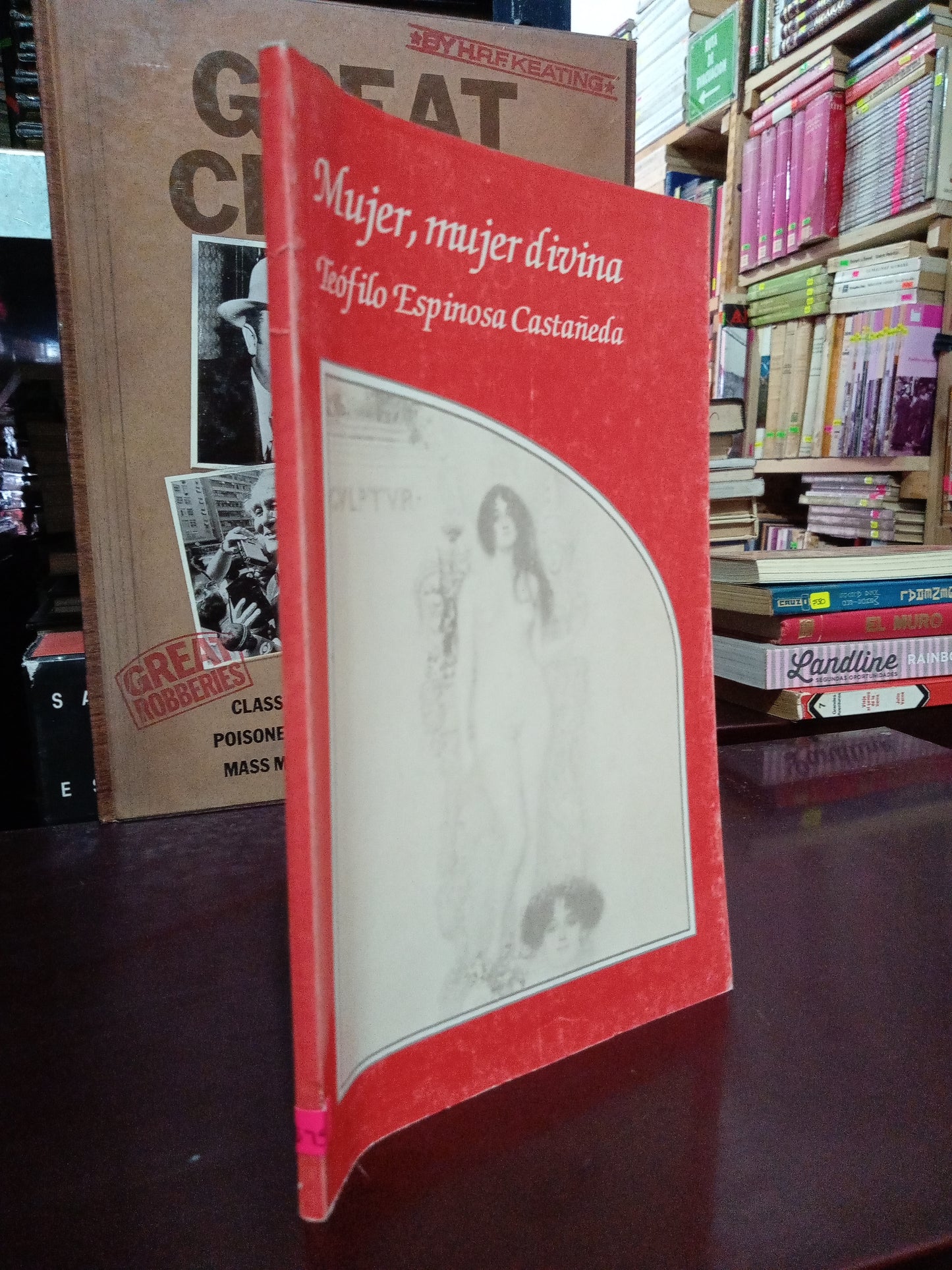 MUJER, MUJER DIVINA POR TEÓFILO ESPINOZA CASTAÑEDA USADO POESÍA LITERARIO 305