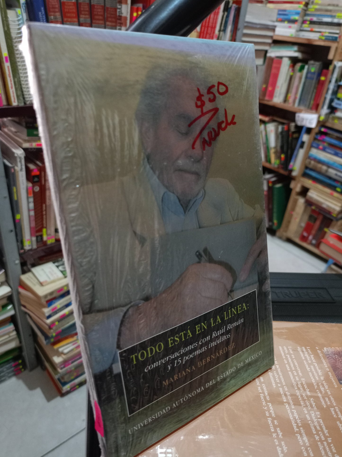 TODO ESTA EN LA LINEA POR MARIANA BERNARDEZ NUEVO NOVELA LITERARIO 305