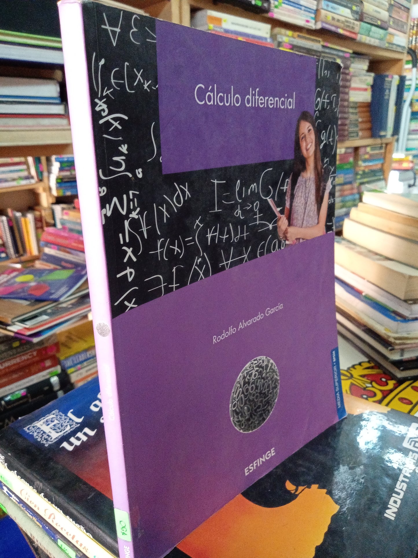 CALCULO DIFERENCIAL POE RODOLFO ALVARADO GARCIA USADO MATEMÁTICAS LITERARIO 207