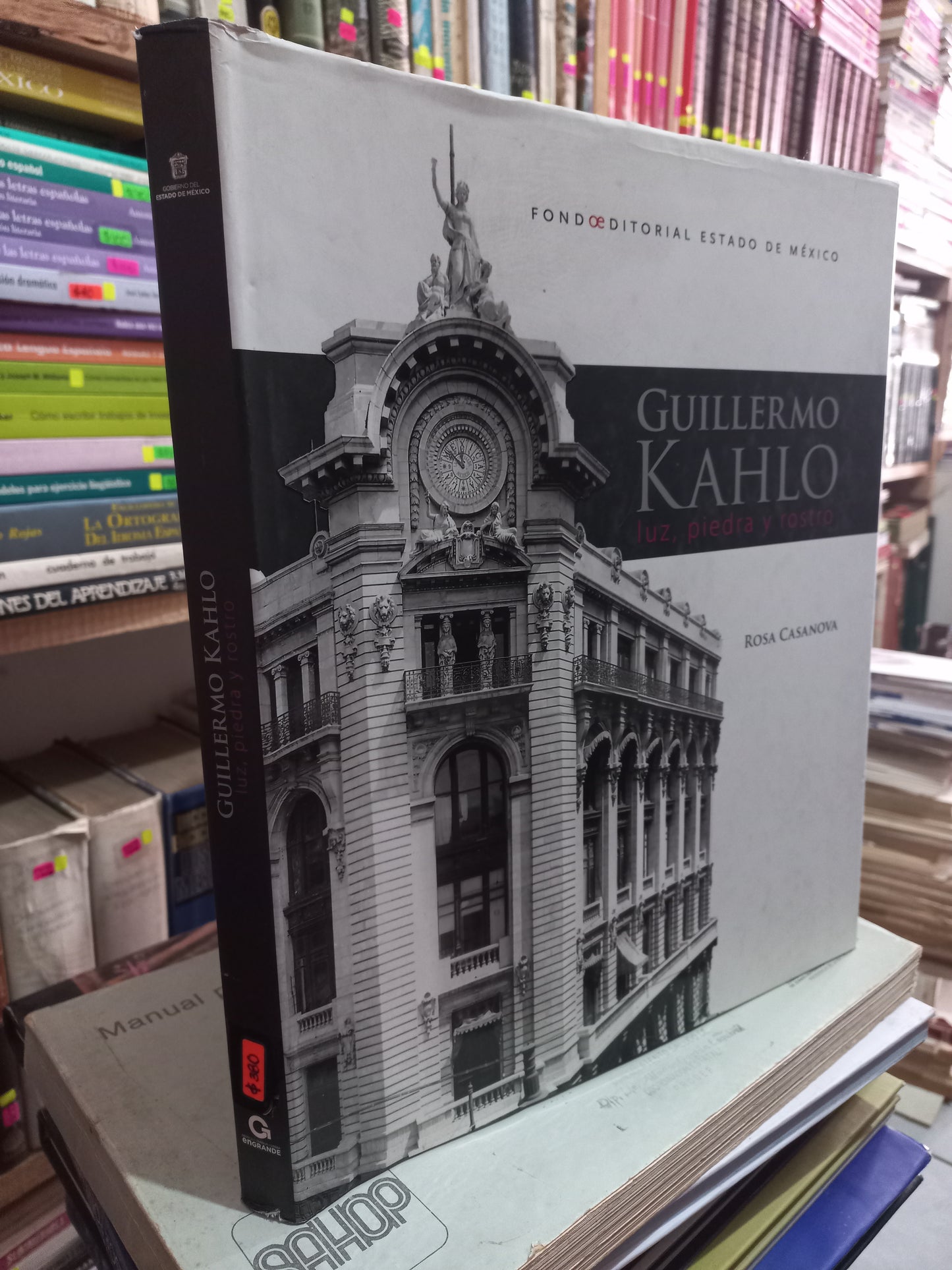 GUILLERMO KAHLO LUZ, PIEDRA Y ROSTRO POR ROSA CASANOVA USADO ARTE LITERARIO 305