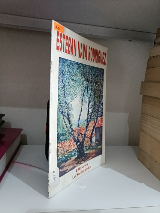 ESTEBAN NAVA RODRIGUEZ USADO NOVELA JUAREZ 515