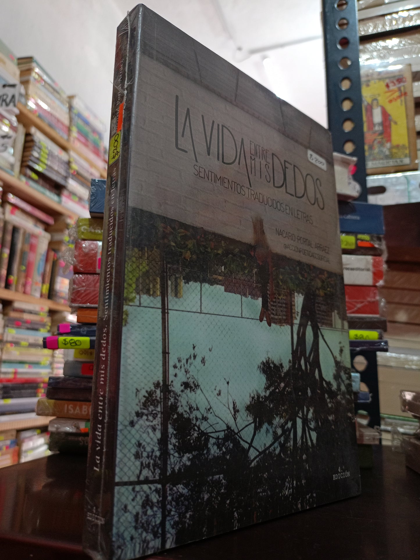 LA VIDA ENTRE MIS DEDOS SENTIMIENTOS TRADUCIDOS EN LETRAS POR NACARID PORTAL ARRAEZ NUEVO LITERARIO 305