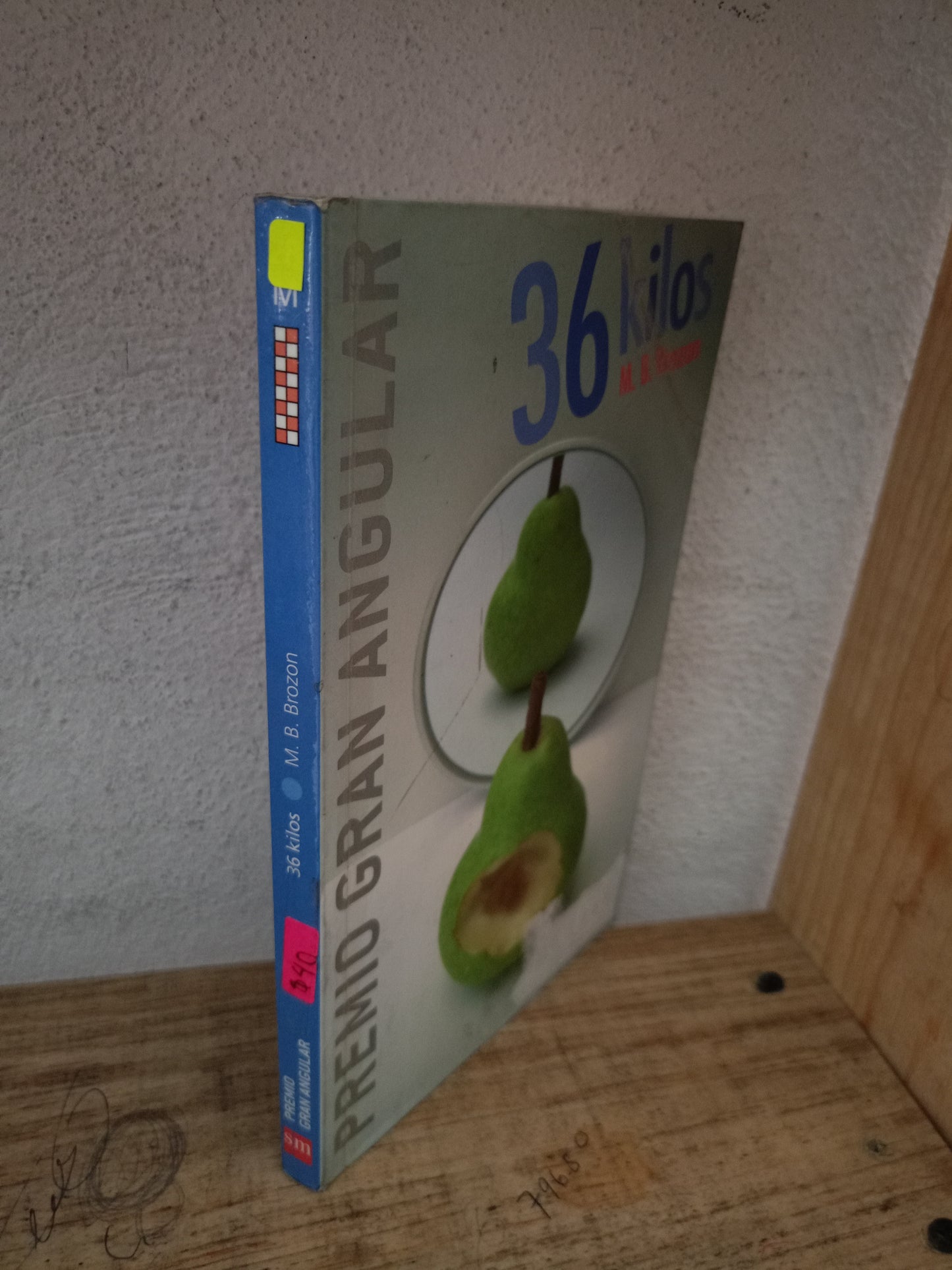 36 KILOS POR M.B. BROZON USADO NOVELA LITERARIO 305