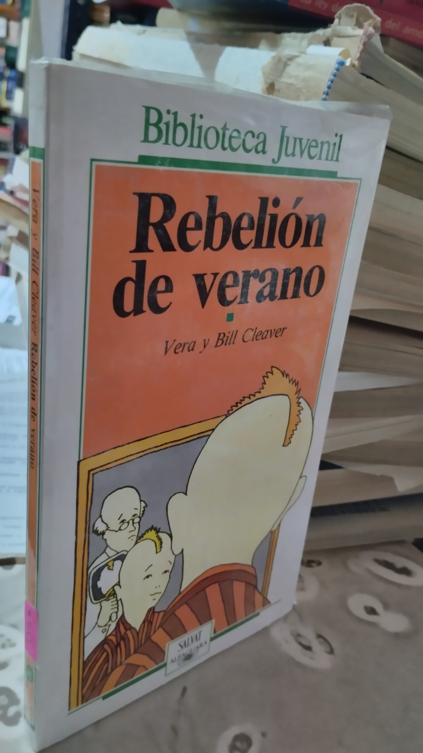 REBELION DE VERANO POR VERA Y BILL CLEAVER LIBRO USADO INFANTIL ALDAMA