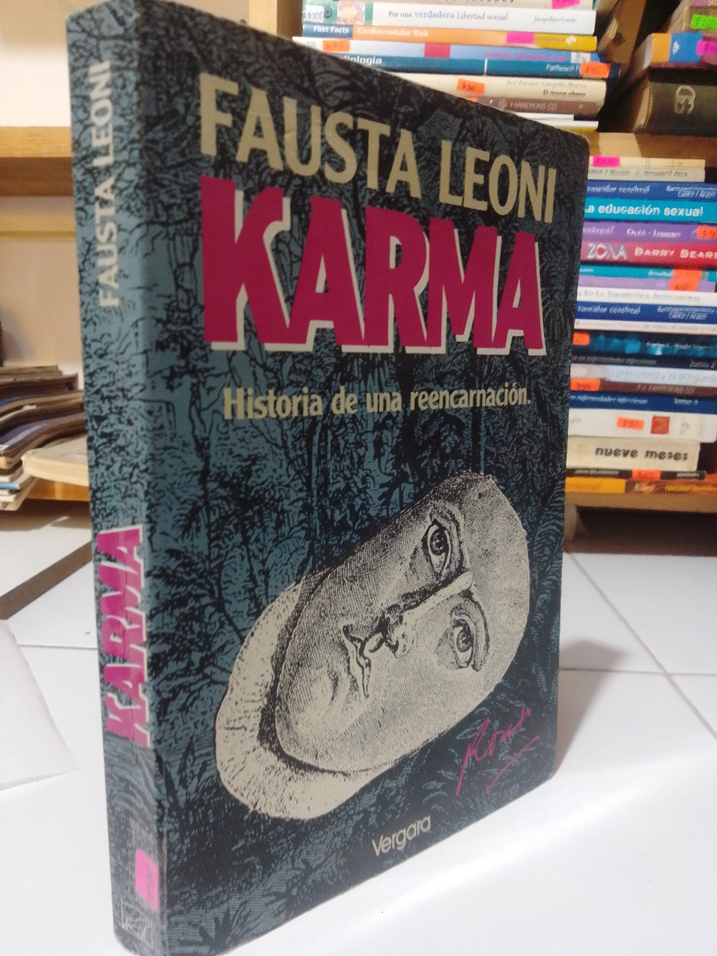 KARMA HISTORIA DE UNA REENCARNACION POR FAUSTA LEONI USADO NOVELA JUÁREZ