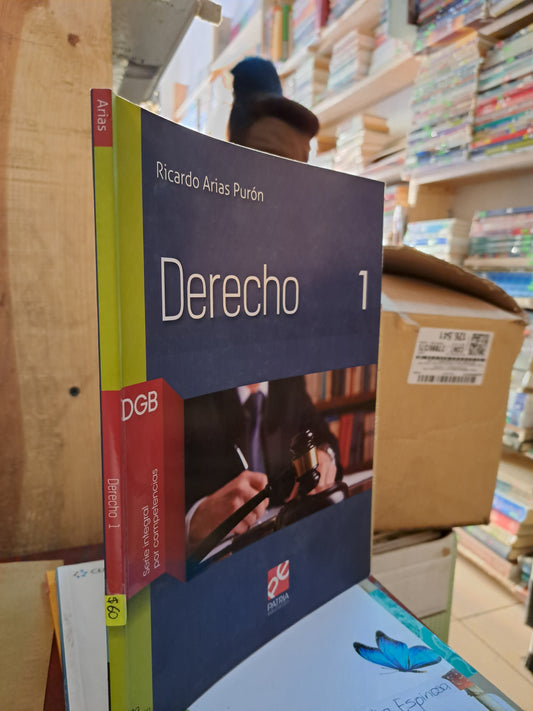 DERECHO 1 RICARDO ARIAS PURÓN USADO DERECHO LITERARIO 206