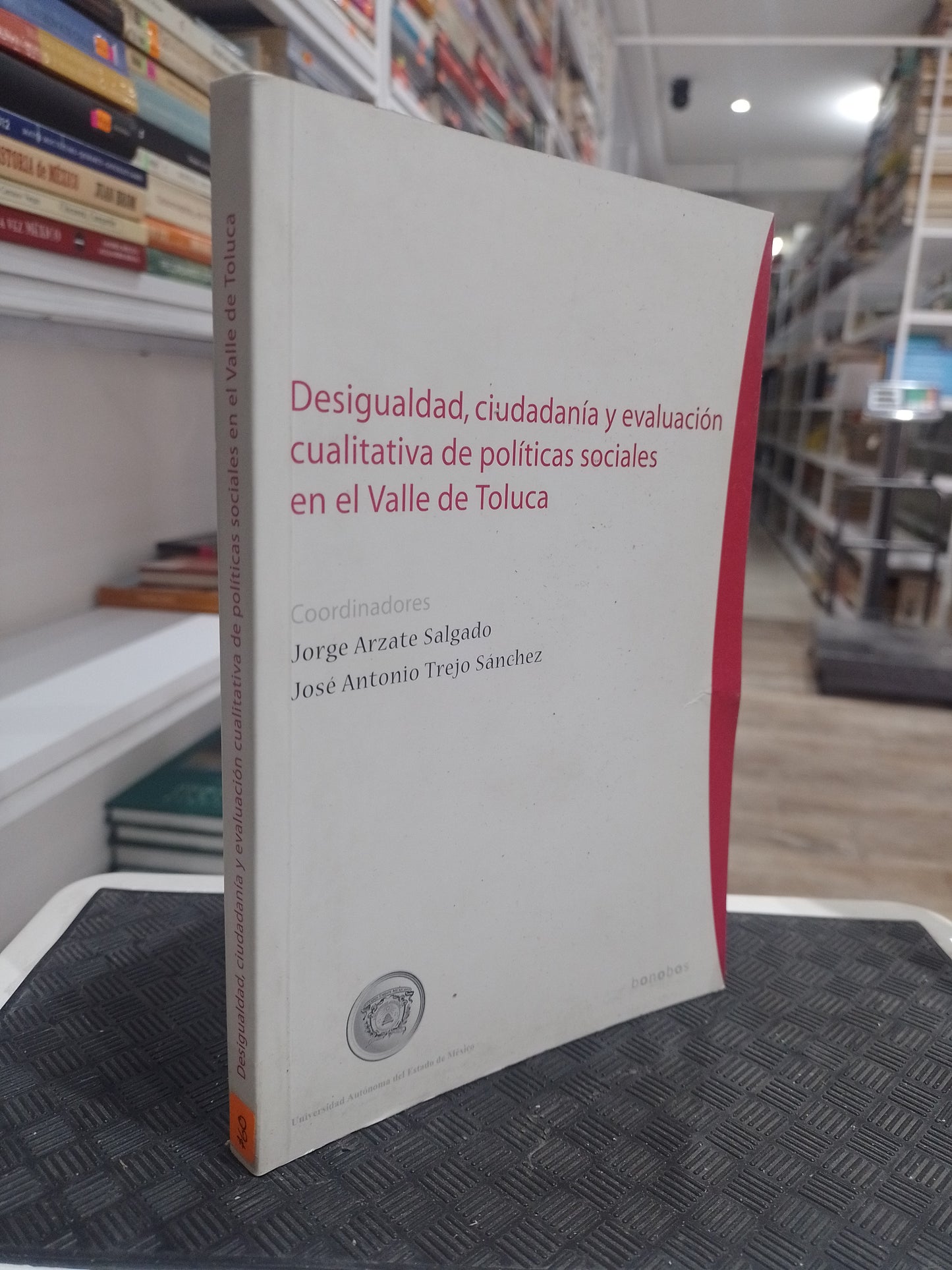 DESIGUALDAD CIUDADANIA Y EVALUACION CUALITATIVA DE POLITICAS SOCIALES EN EL VALLE DE TOLUCA POR JORGE ARZATE SALGADO JOSE ANTONIO TREJO SANCHEZ USADO SOCIOLOGIA JUAREZ 515