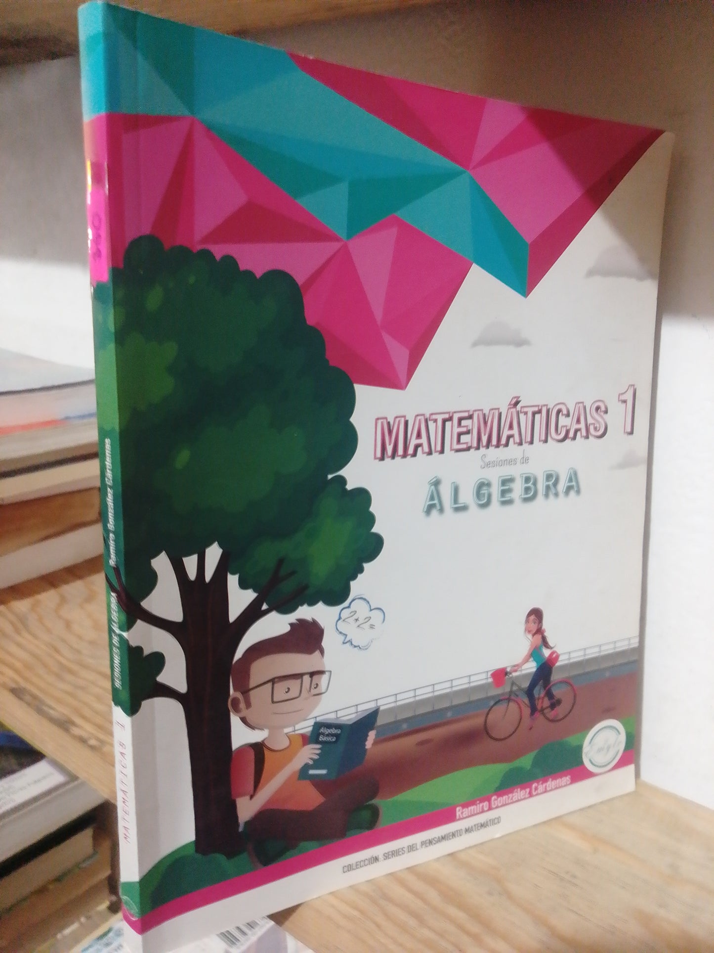 MATEMATICAS 1 SESIONES DE ALGEBRA POR RAMIRO GONZALEZ USADO MATEMATICAS JUAREZ