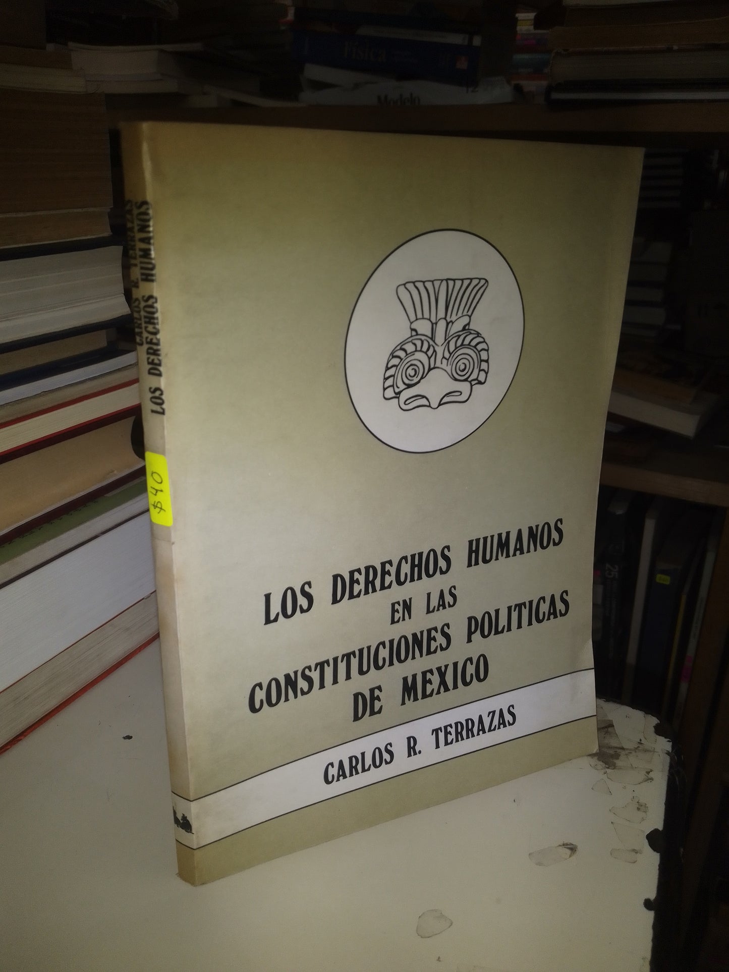 LOS DERECHOS HUMANOS EN LAS CONSTITUCIONES POLITICAS DE MÉXICO POR CARLOS R. TERRAZAS USADO DERECHO LITERARIO 207