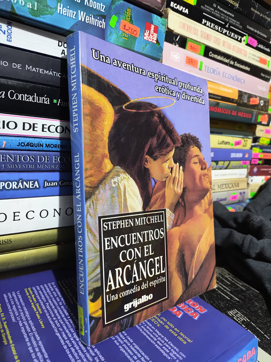 ENCUENTROS CON EL ARCANGEL POR STEPHEN MITCHELL USADO NOVELAS JUAREZ