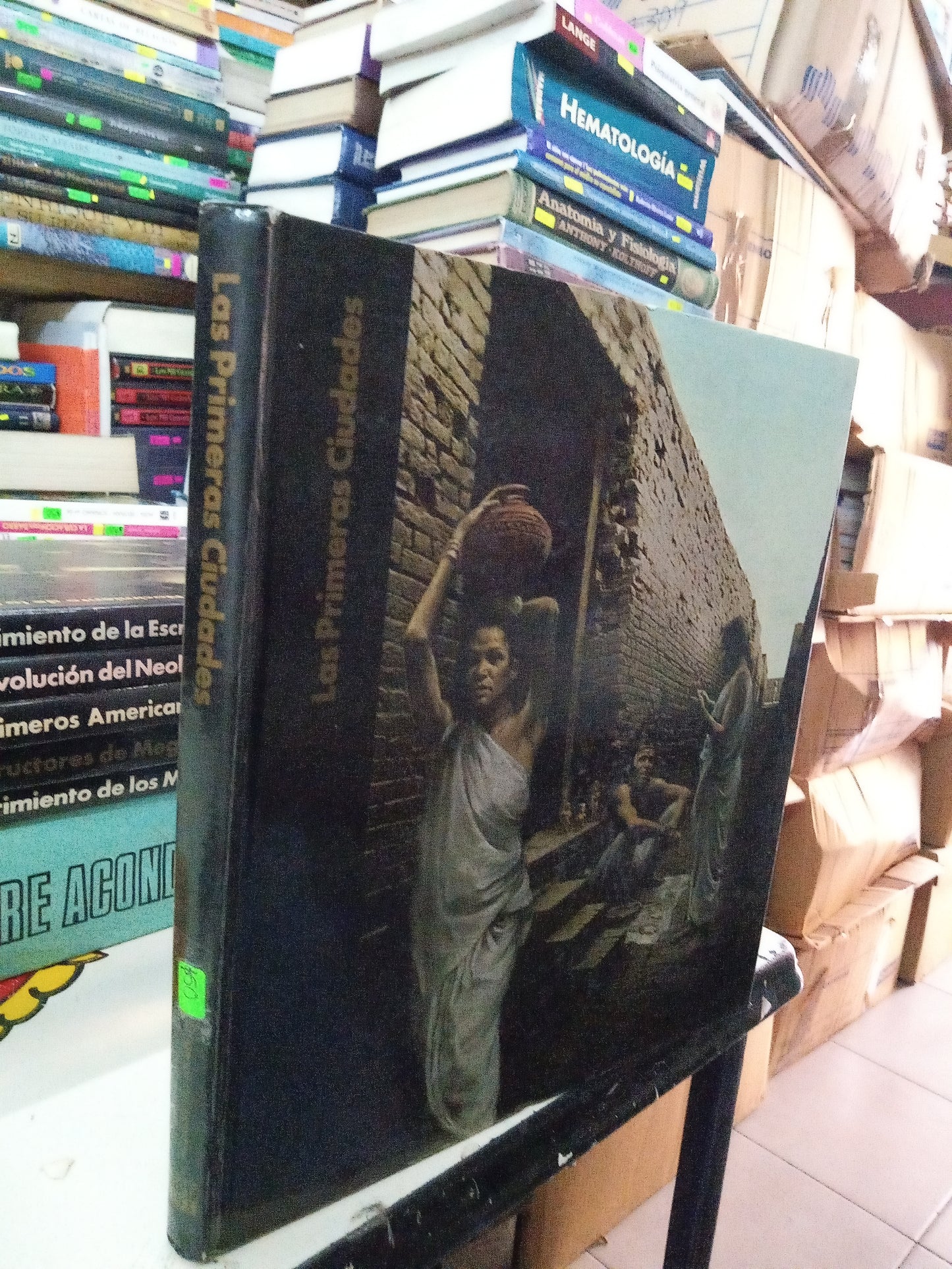 LAS PRIMERAS CIUDADES POR DORA JANE HAMBLIN USADO HISTORIA LITERARIO 207