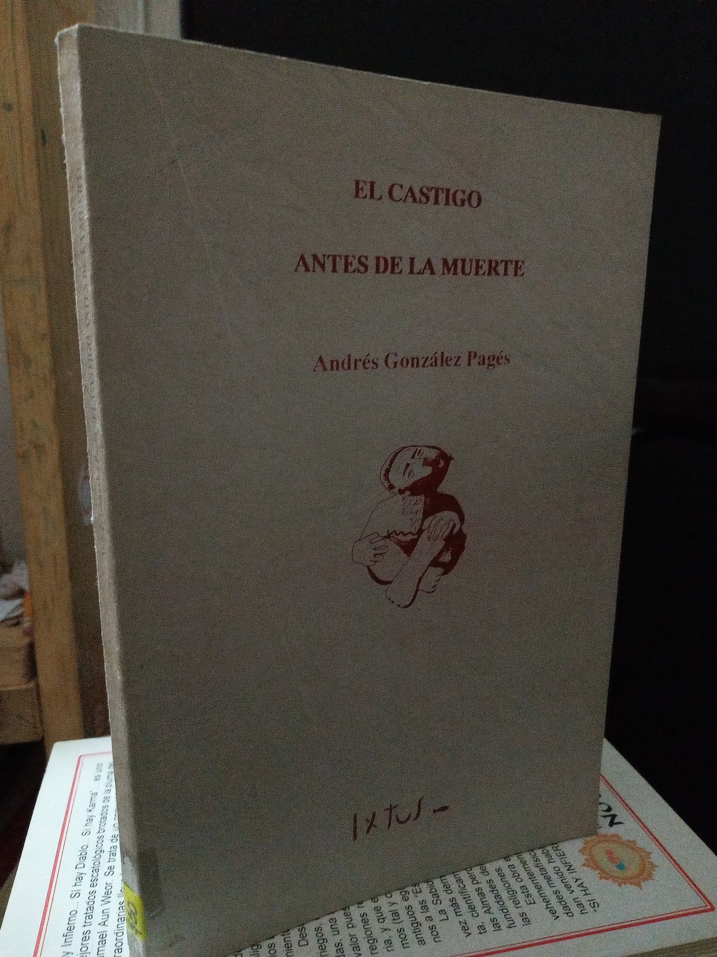 EL CASTIGO ANTES DE LA MUERTE ANDRES GONZALEZ PAGÉS USADO NOVELA LITERARIO 305